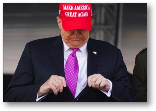 The Partisan Pig!
