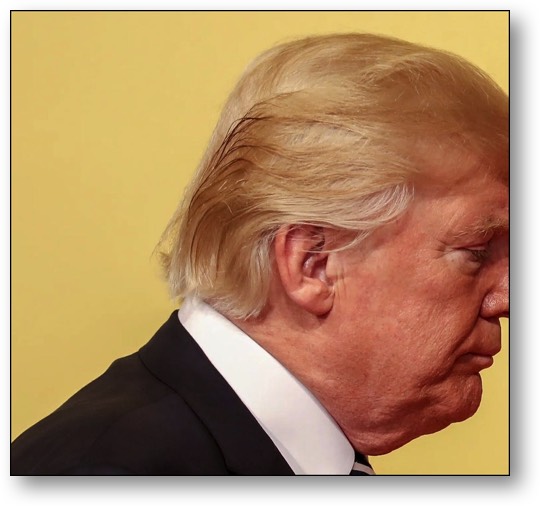 Worthless Trump!
