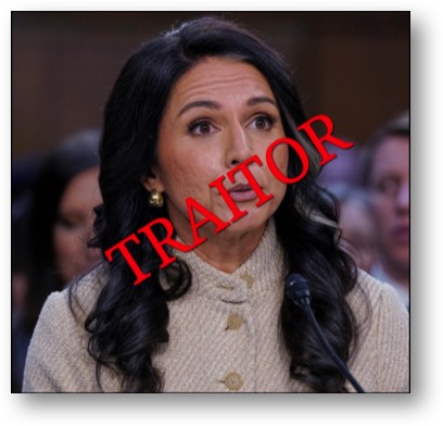 MAGA Maggot Tulsi Gabbard