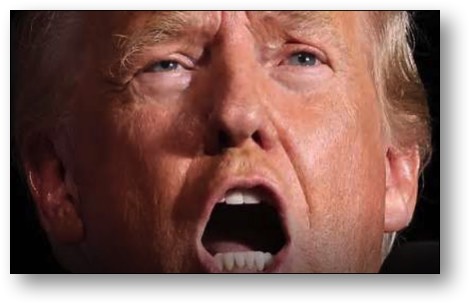 Trump really is this stupid!