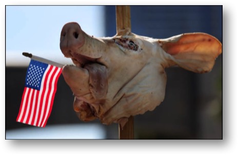 Trump is a fucking PIG!