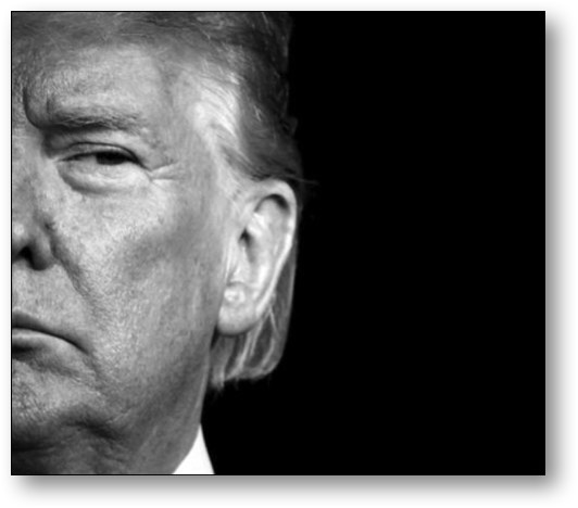 Trump, the traitorous insurrectionist!