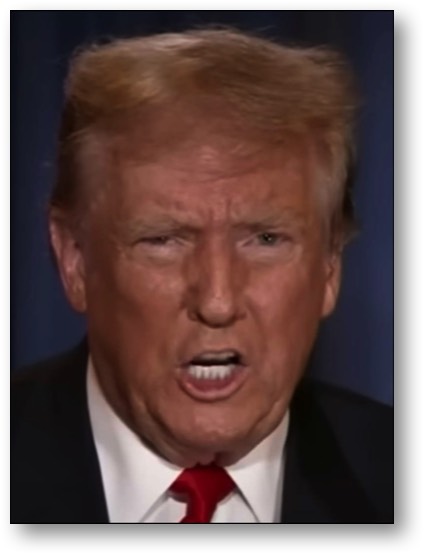 Trump, the traitorous PIG!