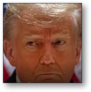Trump, the convicted sexual abuser!