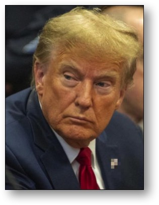 Traitorous Trump sues the judge
