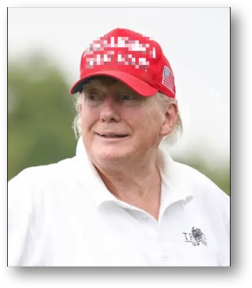 Trump, the traitorous malignant narcissist!