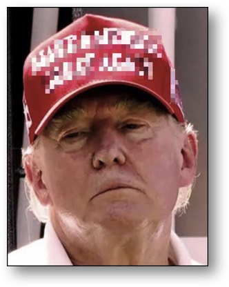 Cowardice Trump, the FELON!