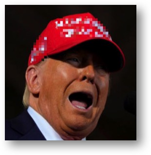 Trump, the PIG!