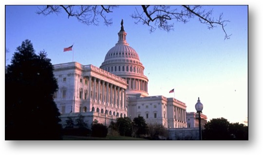 The 119th Congress