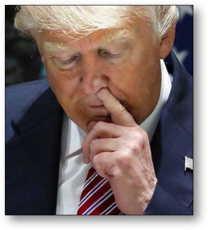 Trump, the FELON!