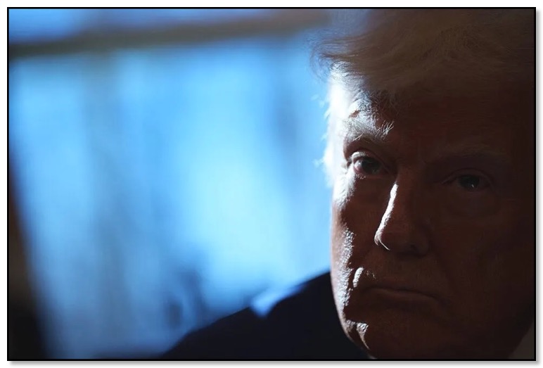 Trump is a Court-Adjudicated Rapist!