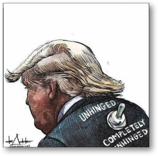 Trump - Unhinged and Demented