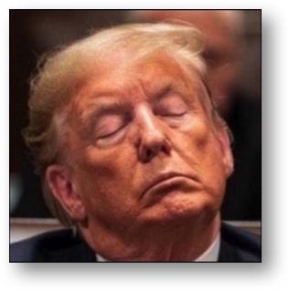 Trump, the convicted felon!