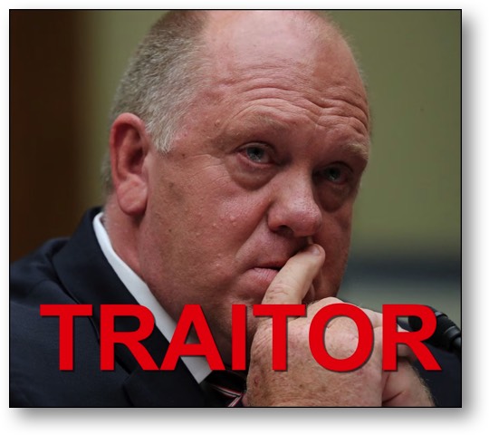 Trump's so-called border czar