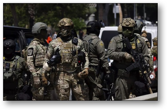 Trump's terrorist goon squad