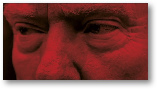 Donnie Dim Wit, the FOOL!