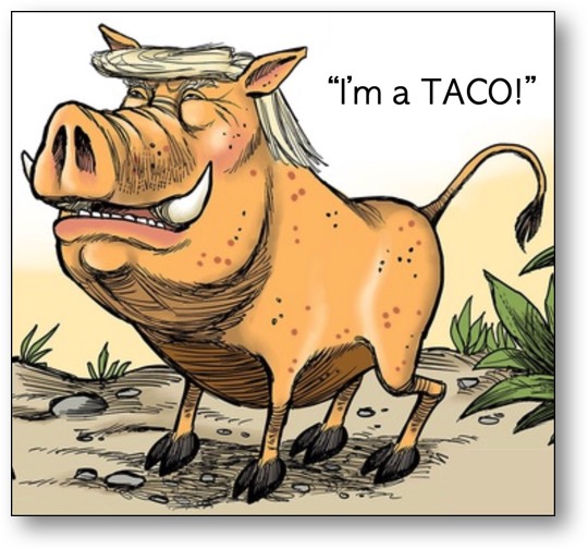 Trump's a TACO!