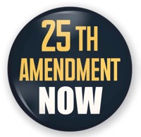 Invoke the 25th Amendment NOW!