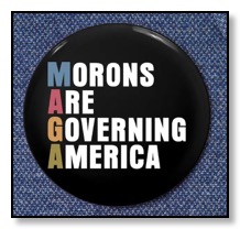 Morons Are Governing America