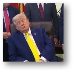 The throes of demenia have taken over Trump's brain!