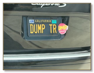Dump Trump!