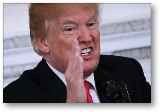 stacks-image-28d26ff-4059