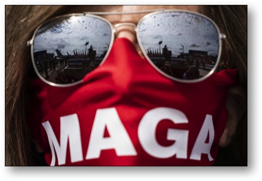 stacks-image-0370946-3785