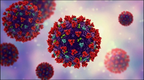 stacks-image-cc85337-502x282