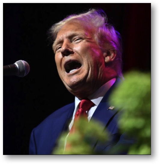 Trump - the bigmouth COWARD!