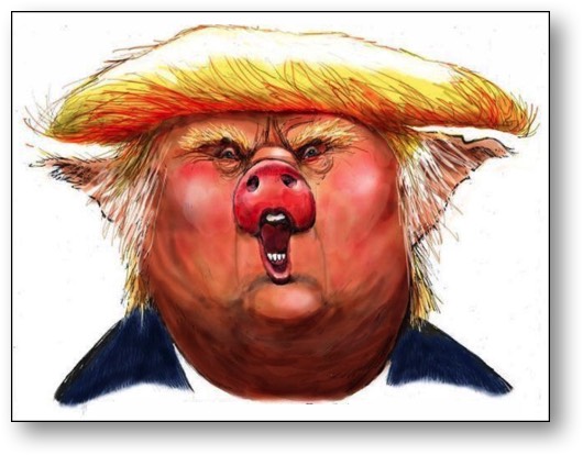 Trump is a PIG!