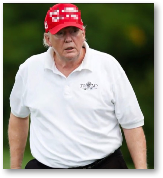 LOCK TRUMP UP!