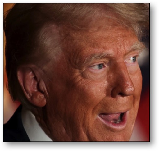 Trump, the LOSER!