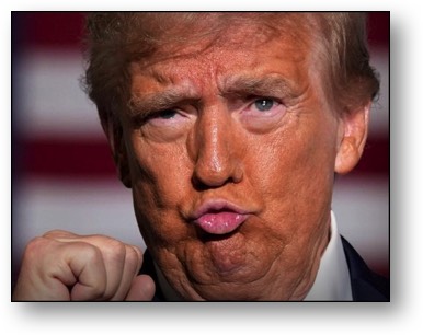 Trump, the TRAITOR and LOSER!