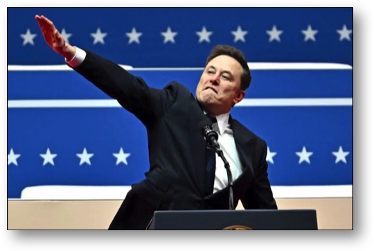 Elon Musk, the neo-Nazi fascist!